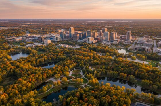 Gas Fireplace Cleaning Maple Grove | Professional Service